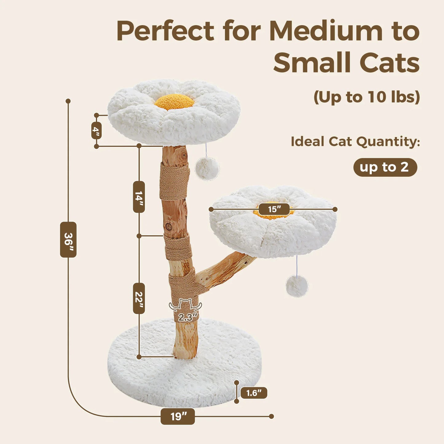 PEQULTI CN Solid Wood Cat Tree Tower With Spacious Condo