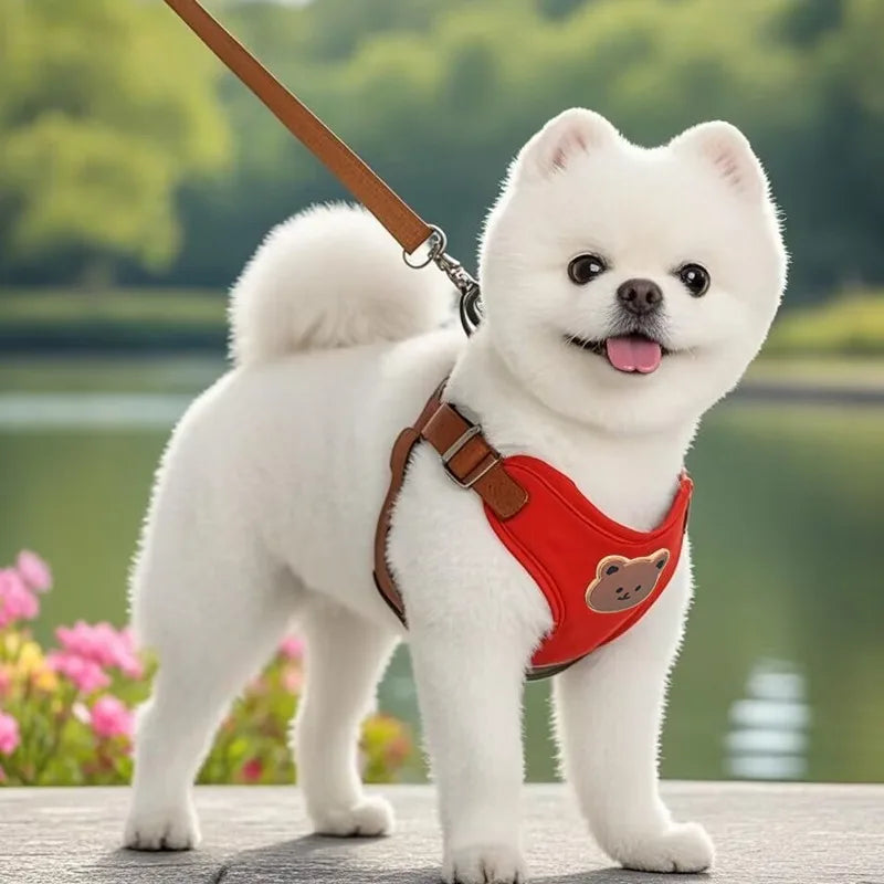 Caiban Breathable Dog Harness And Leash Set For All Breeds
