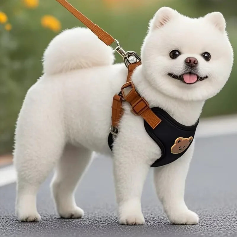 Caiban Breathable Dog Harness And Leash Set For All Breeds