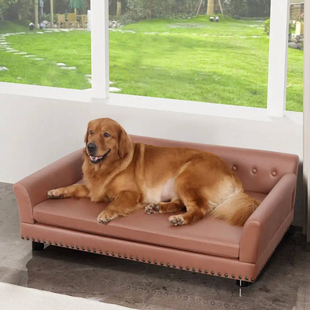 BingoPaw Waterproof Dog Sofa Bed With Removable Cushion