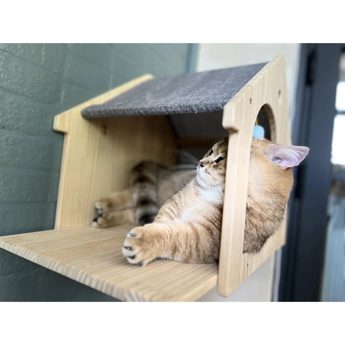 Wall Mounted Wooden Cat Villa Shelf Furniture For Sleeping