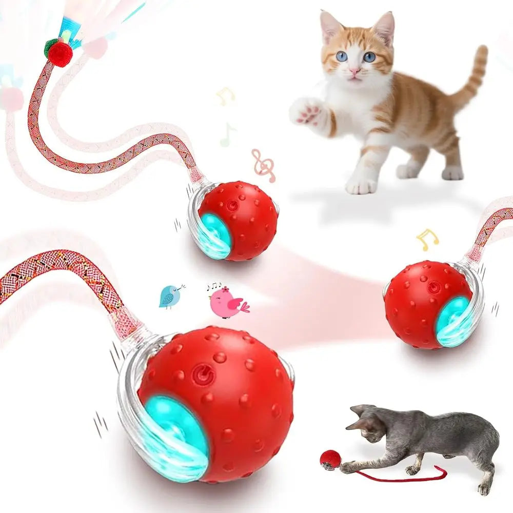 Two RaTails Interactive Cat Ball Toy With 360 Rolling Action