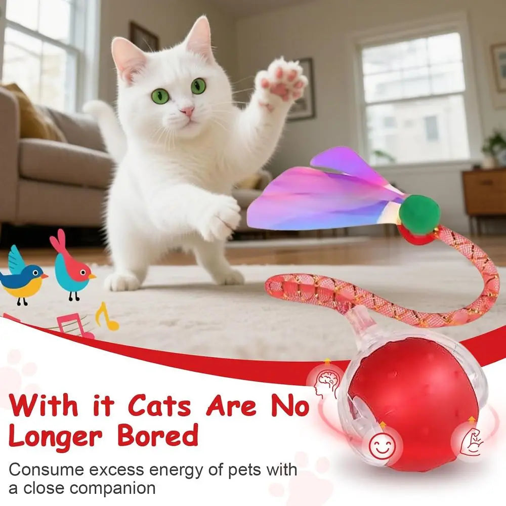 Two RaTails Interactive Cat Ball Toy With 360 Rolling Action
