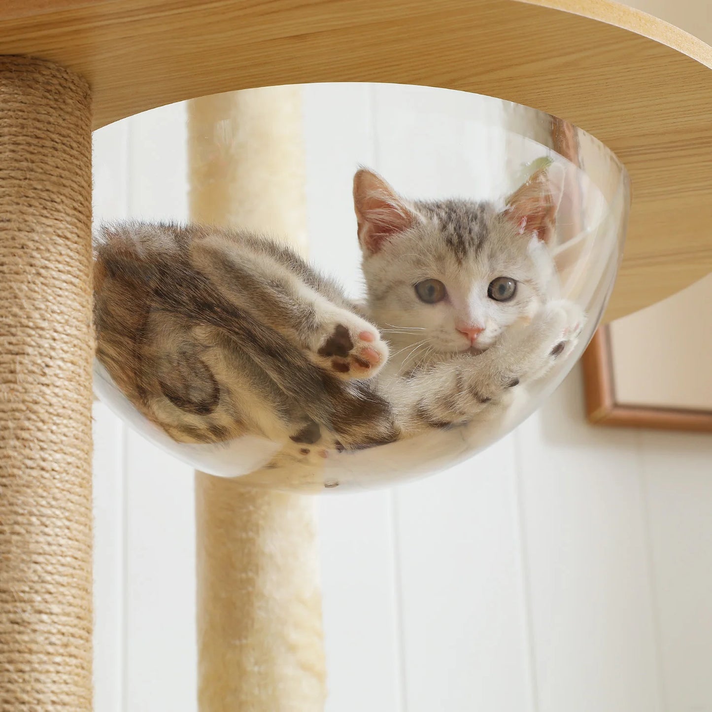 PAWZ Ro Multi Level Cat Tree With Scratching Posts Hammock