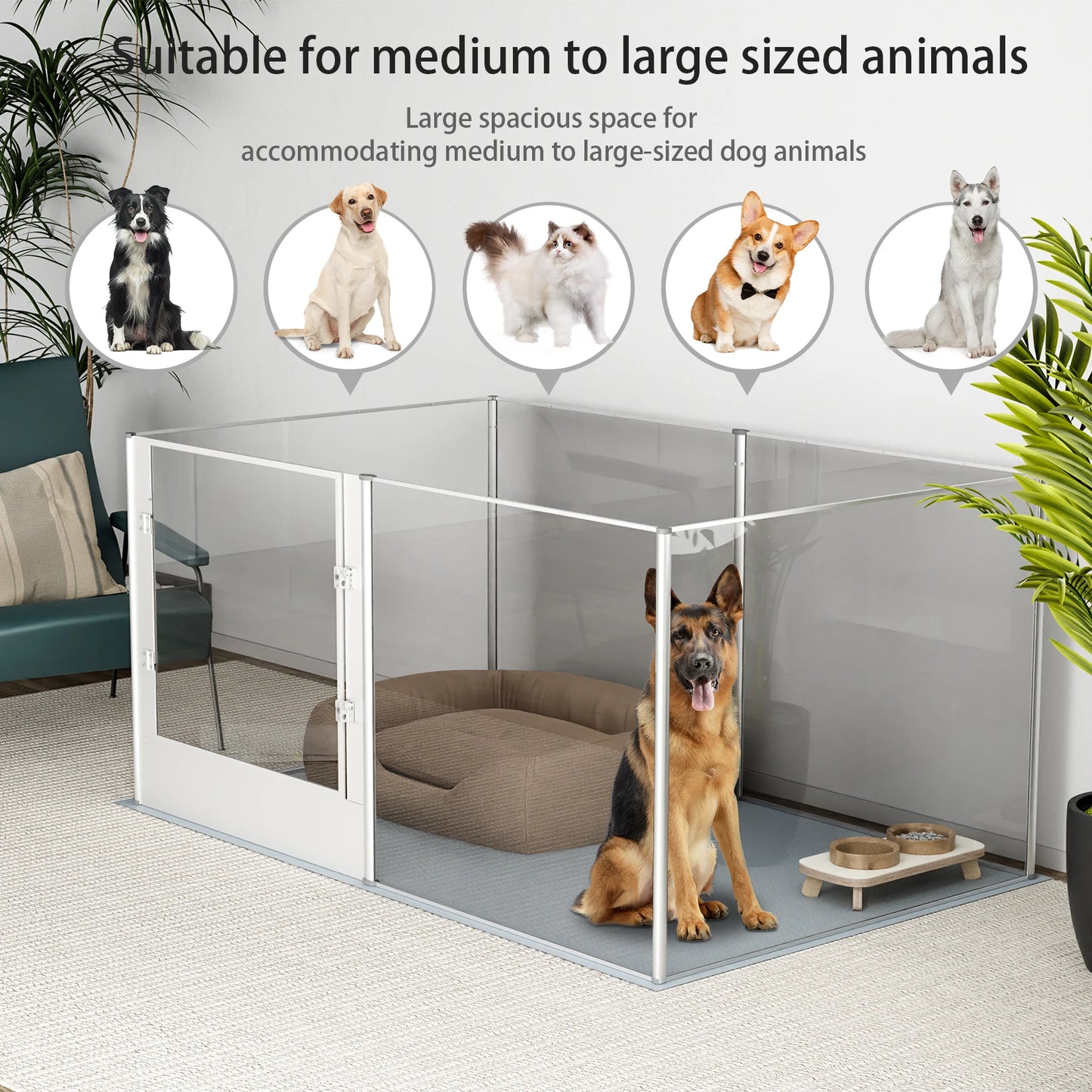 BINGOPAW Large Acrylic Dog Playpen Fence 6 Panels Heavy Duty