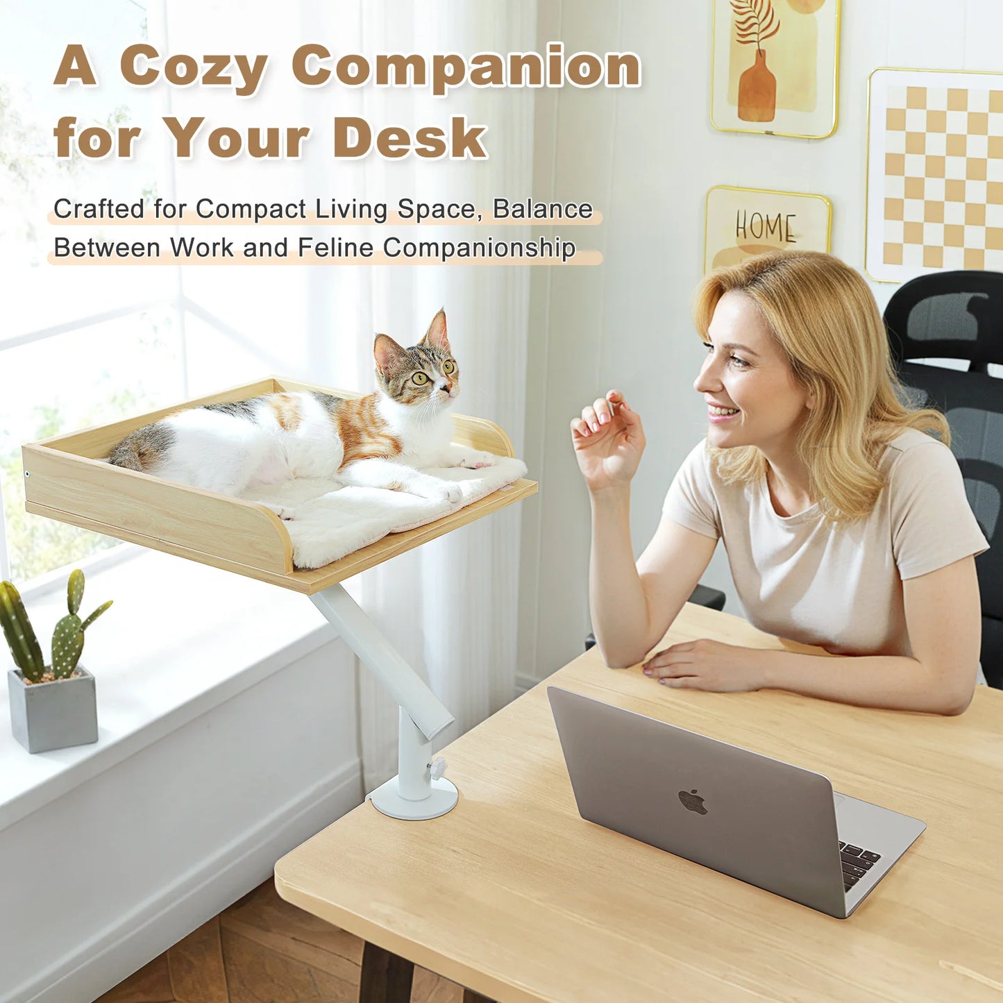 PAWZ Road Adjustable Rotatable Cat Desk Bed And Cat Hammock