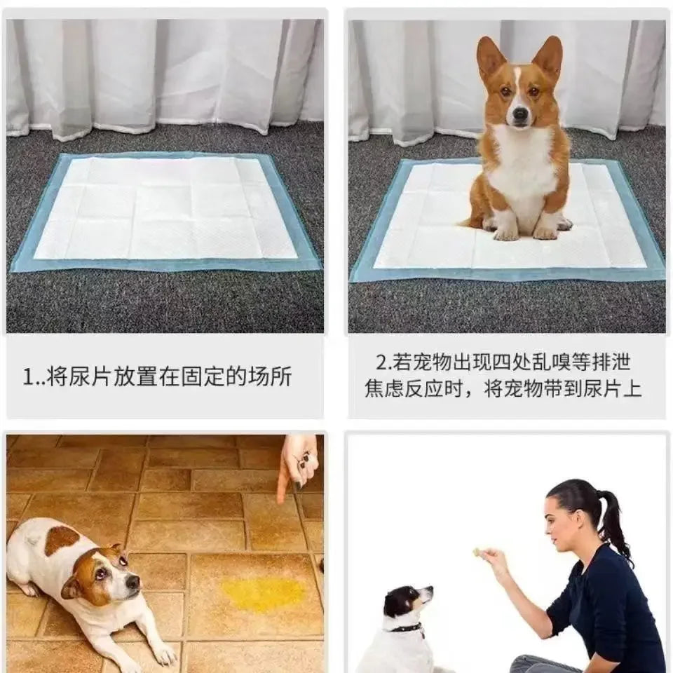 Absorbent Dog Diapers And Disposable Puppy Training Pee Pads