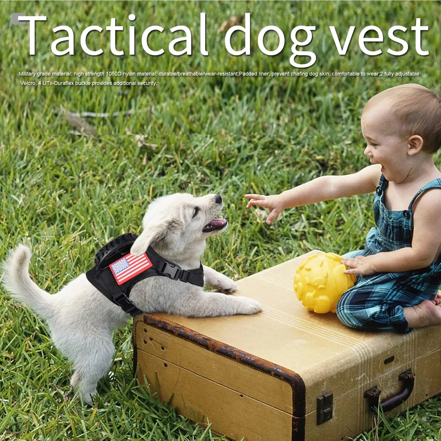 Tactical Puppy Harness Leash Set For Small Dogs And Cats