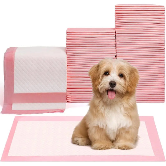 Pet Toilet Training Pads 100 Count Disposable Absorbent Leak Proof