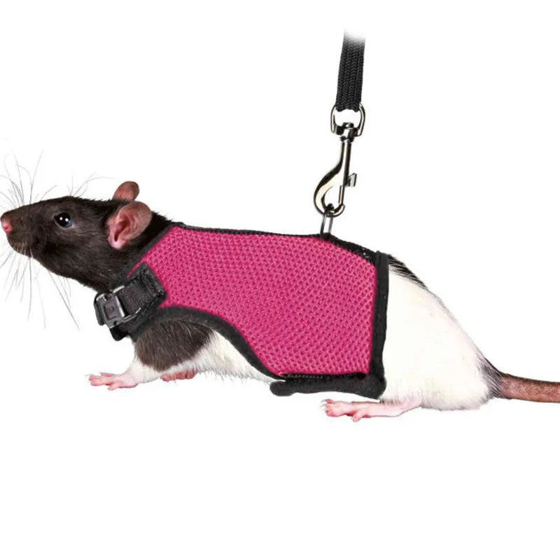 Summer Pet Harness Leash For Small Animals Breathable Mesh