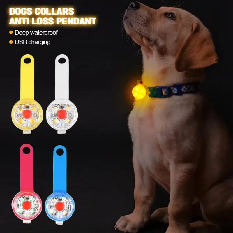 LED Safety Light Dog Cat Collar USB Rechargeable Weatherproof