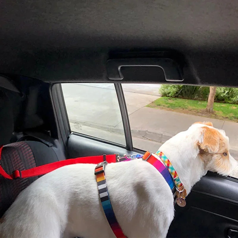 Two-In-One Pet Car Seat Belt Nylon Lead For Dogs Backseat