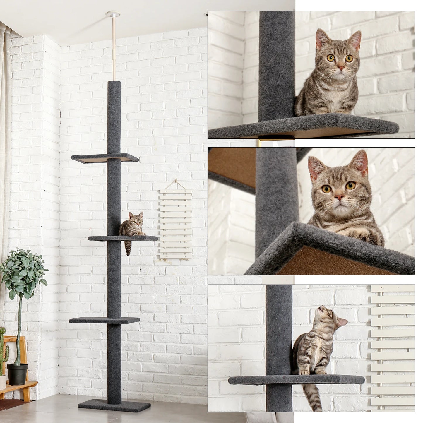 Pequlti Adjustable Height Cat Tree Indoor Tower With Scratching Posts