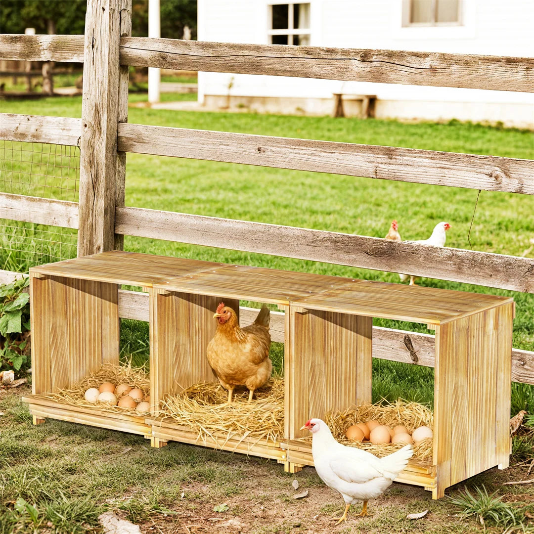 BINGOPAW Three Compartment Pine Wood Chicken Nesting Box