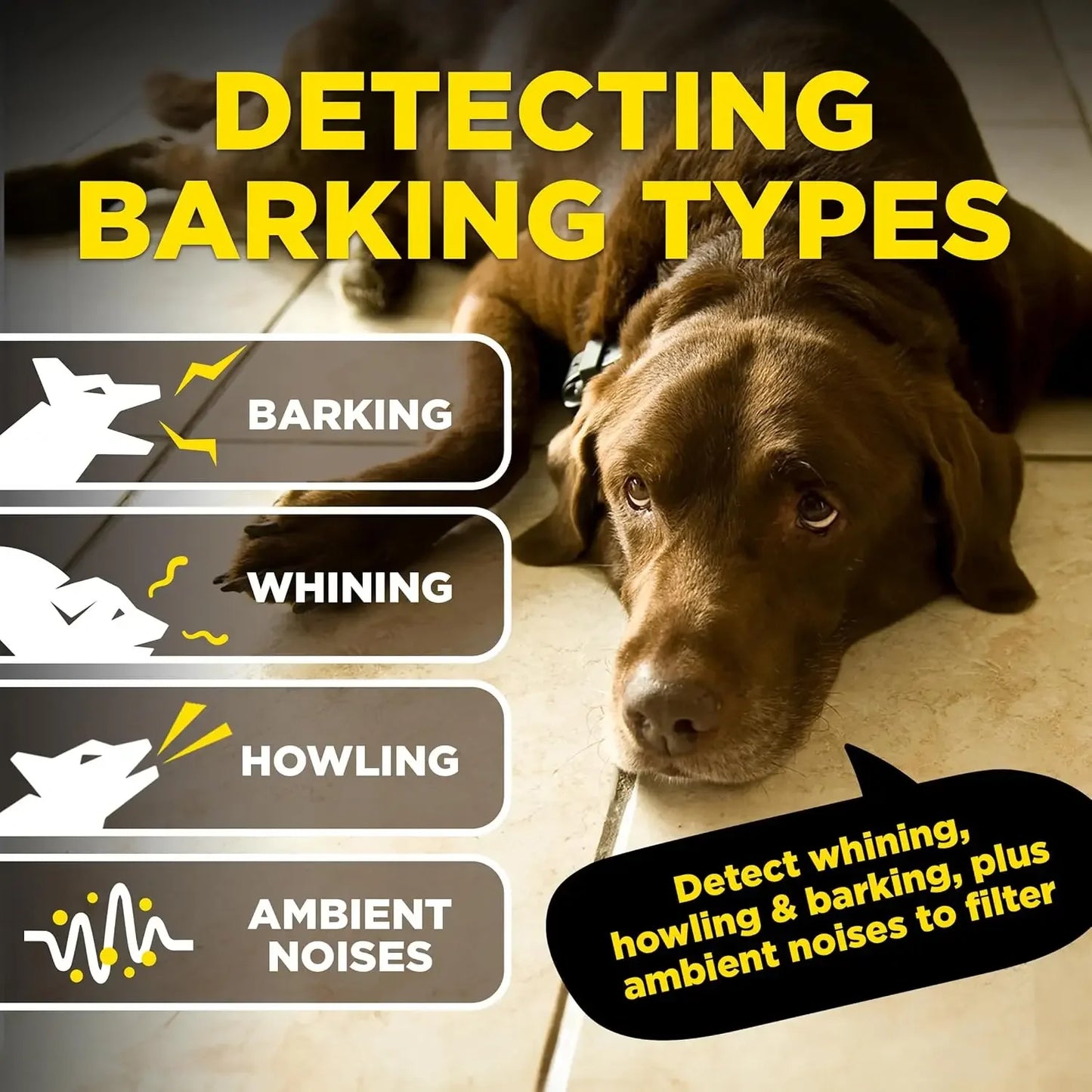 Smart Bark Detector For Dogs With App Notifications