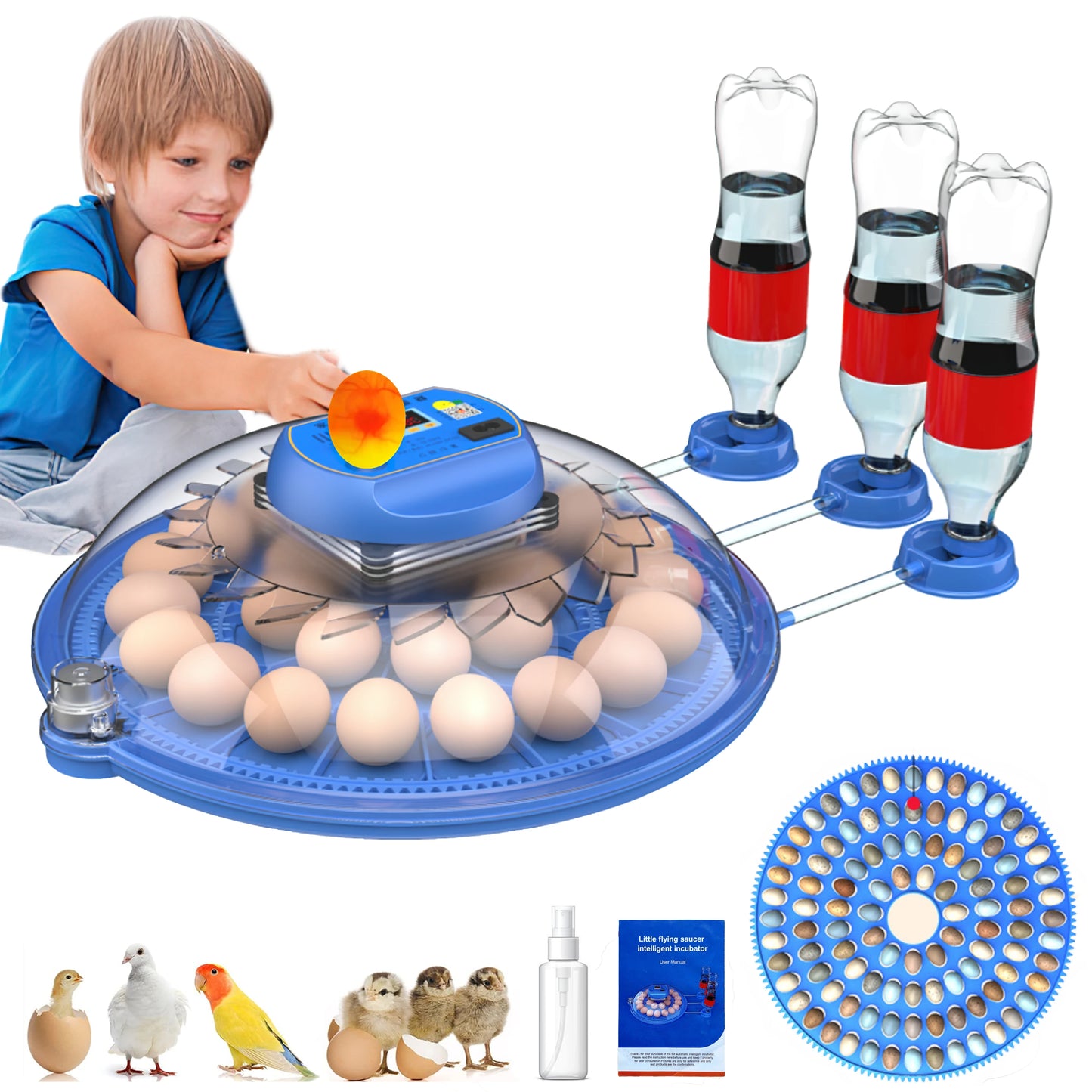 Automatic Egg Incubator For 26 To 52 Eggs With Water