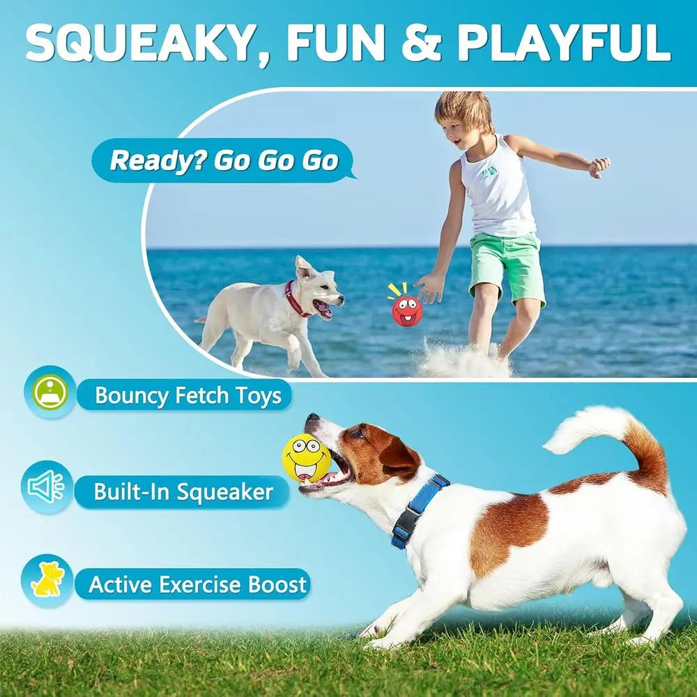 Smiley Ace Squeaky Dog Toys for Small and Medium Dogs