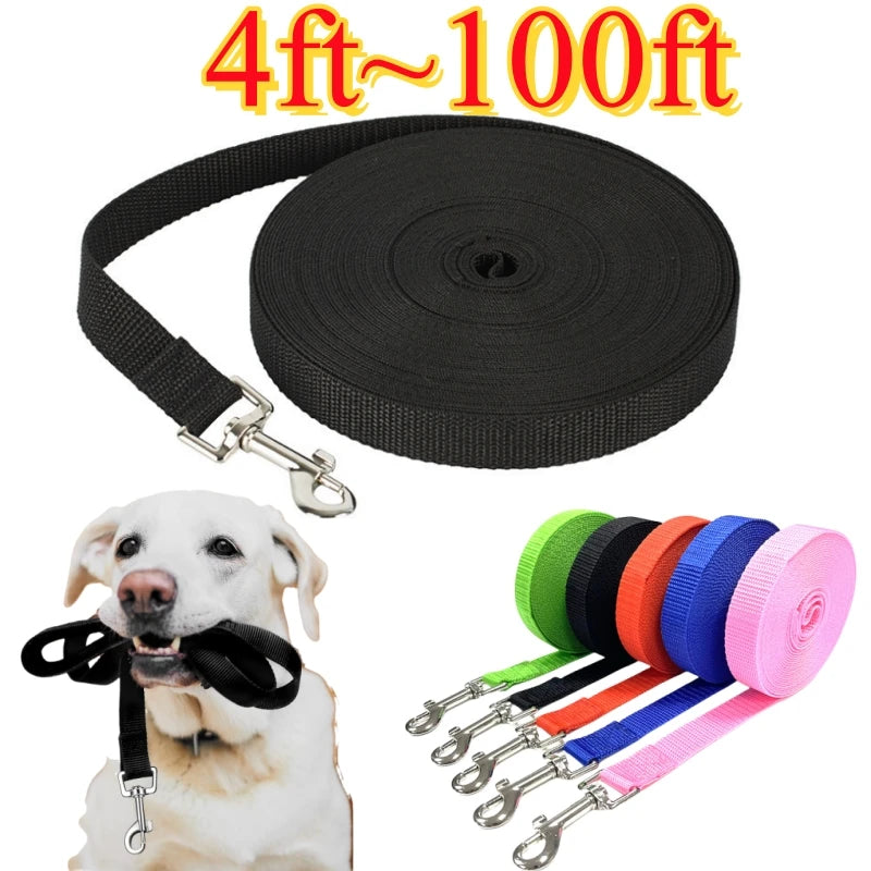 Nylon Dog Leash With Reflective Breakaway Quick Release All Dogs