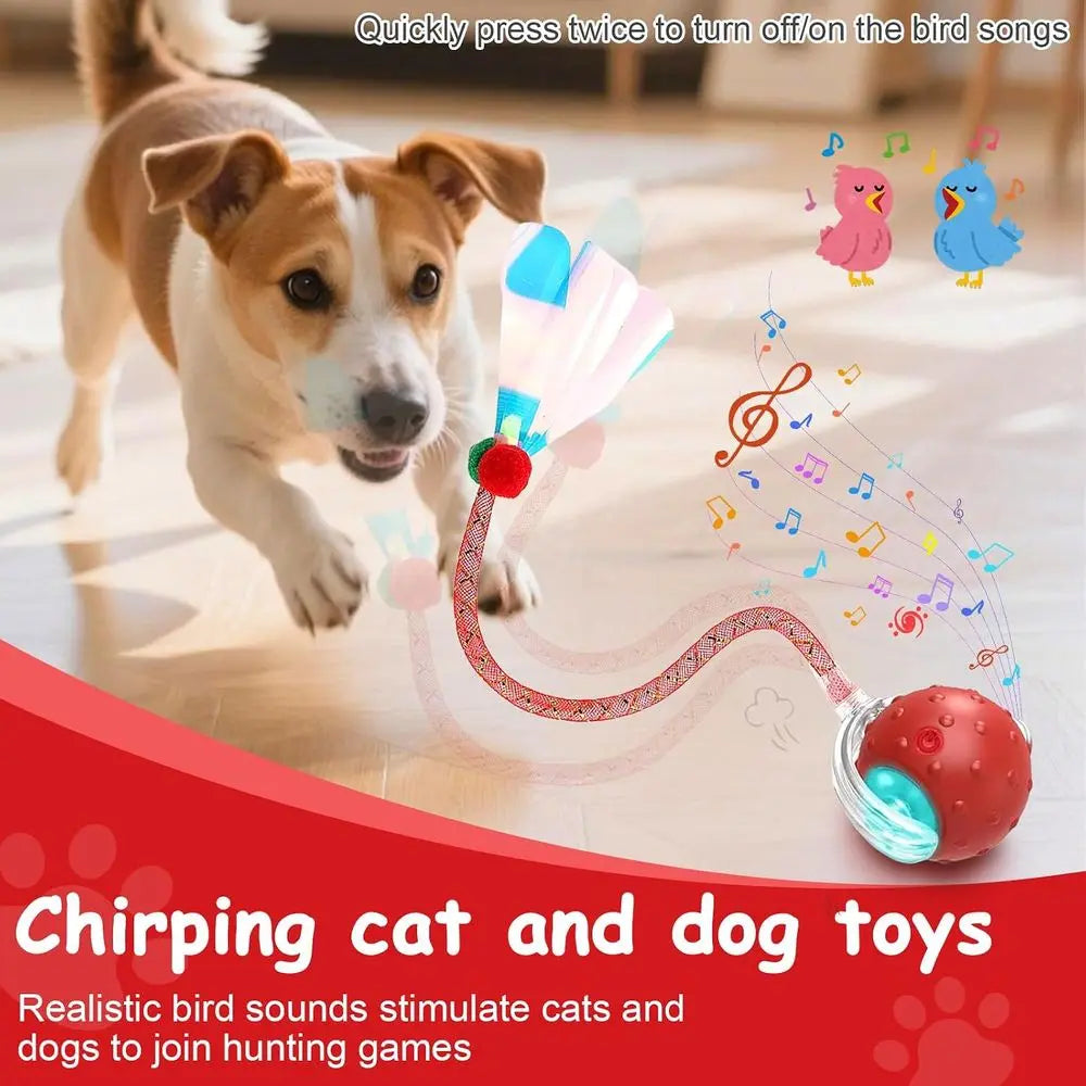 Two RaTails Interactive Cat Ball Toy With 360 Rolling Action