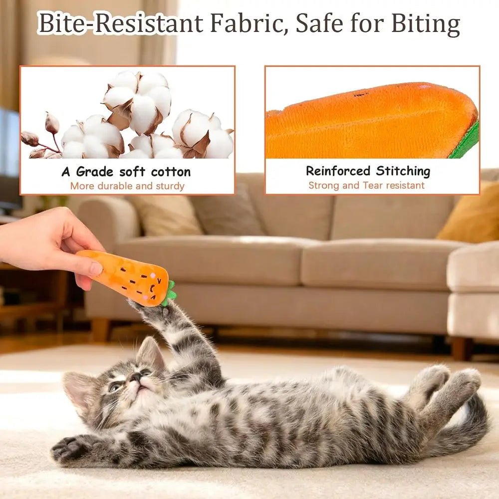 Catnip Plush Cat Toys 5 Pack Natural Silvervine Indoor Cats