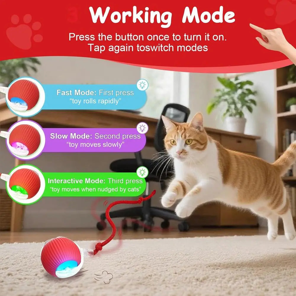Interactive Cat And Dog Ball Toy 360 Rolling Indoor