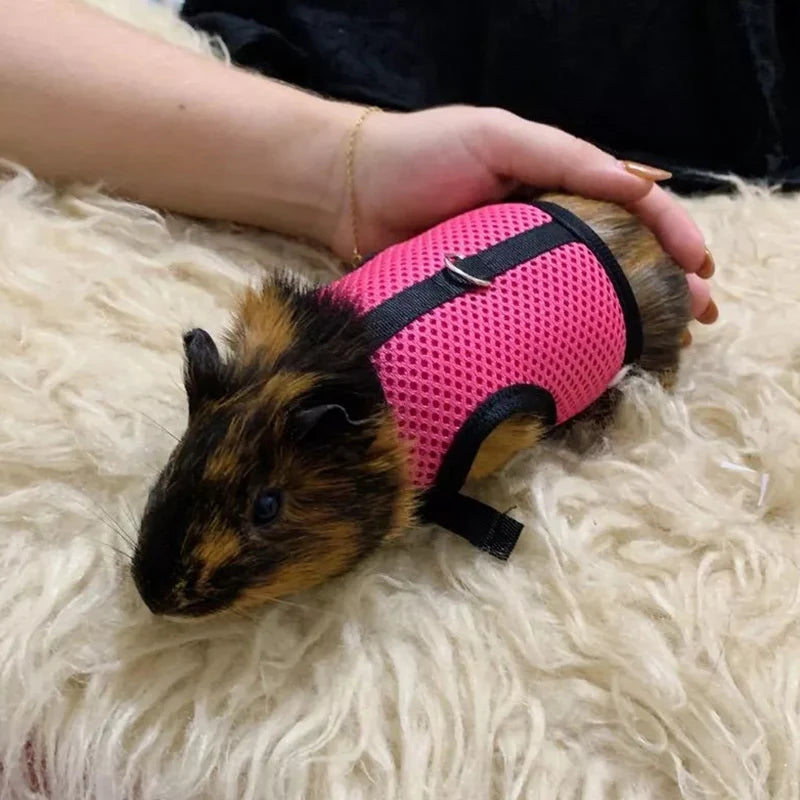 Summer Pet Harness Leash For Small Animals Breathable Mesh