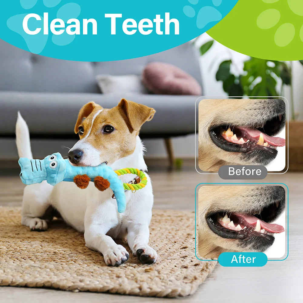Dog Squeaky Plush Toy Pack For Interactive Tug Of War