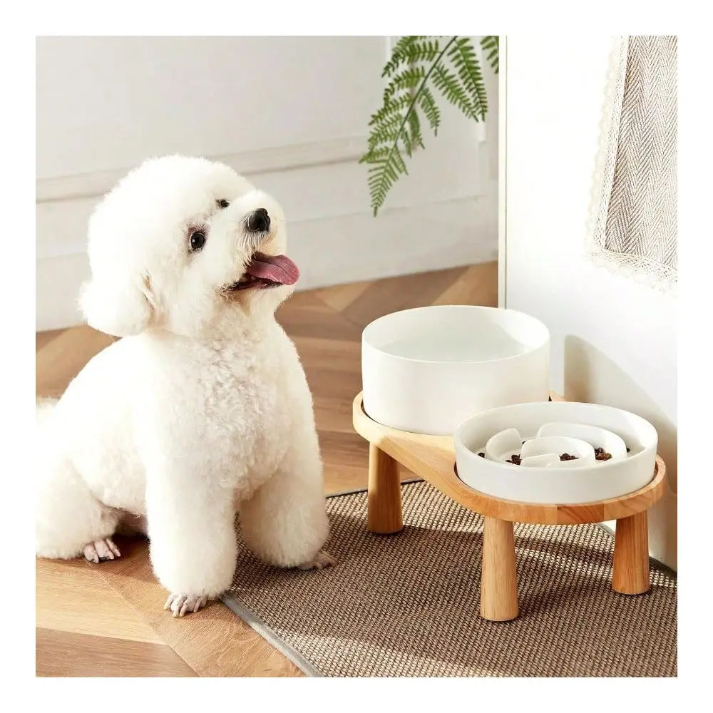 Dog Water Bowl Set With Slow Feeder And Wooden Stand