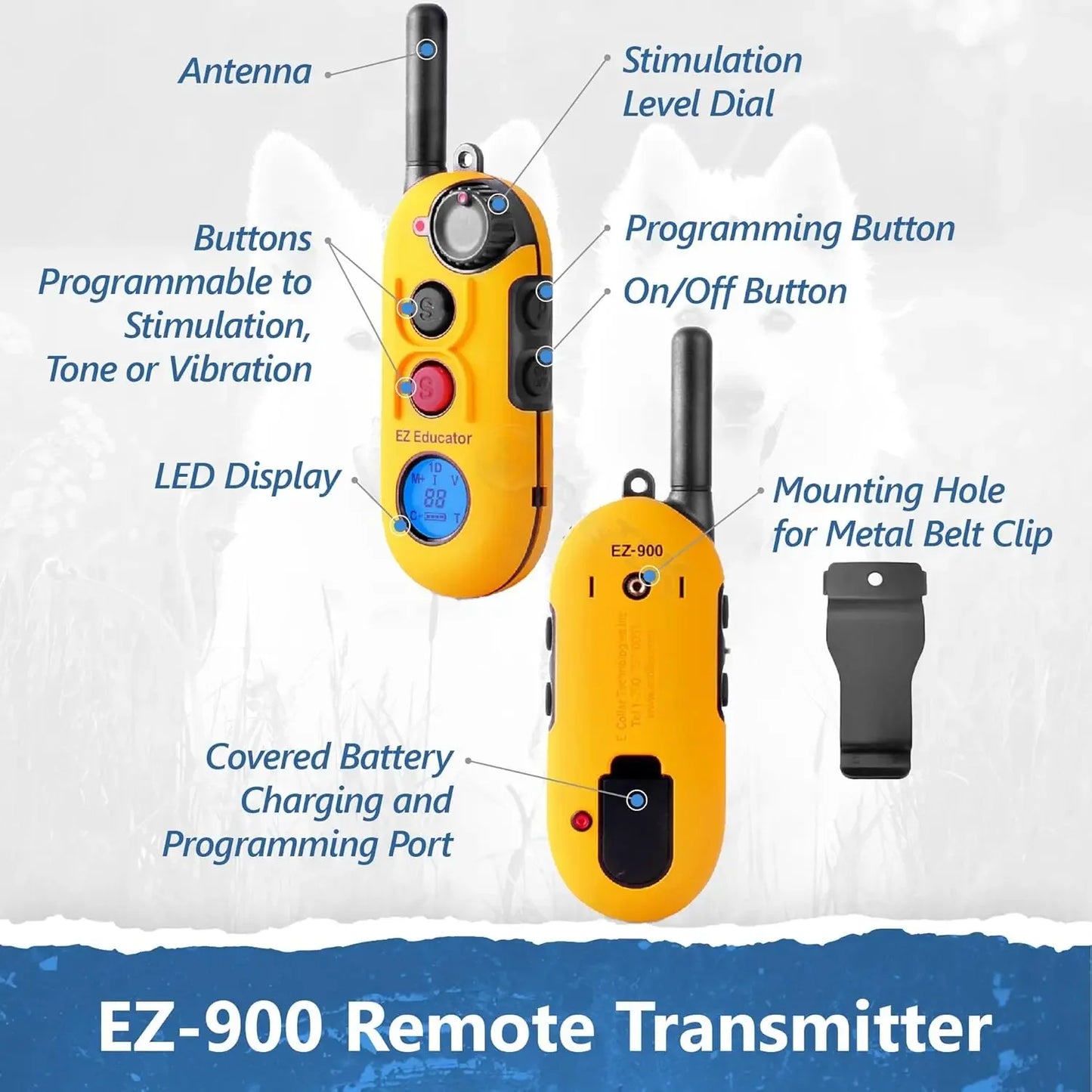 EZ 900 E Collar For Dog Training With Remote Waterproof