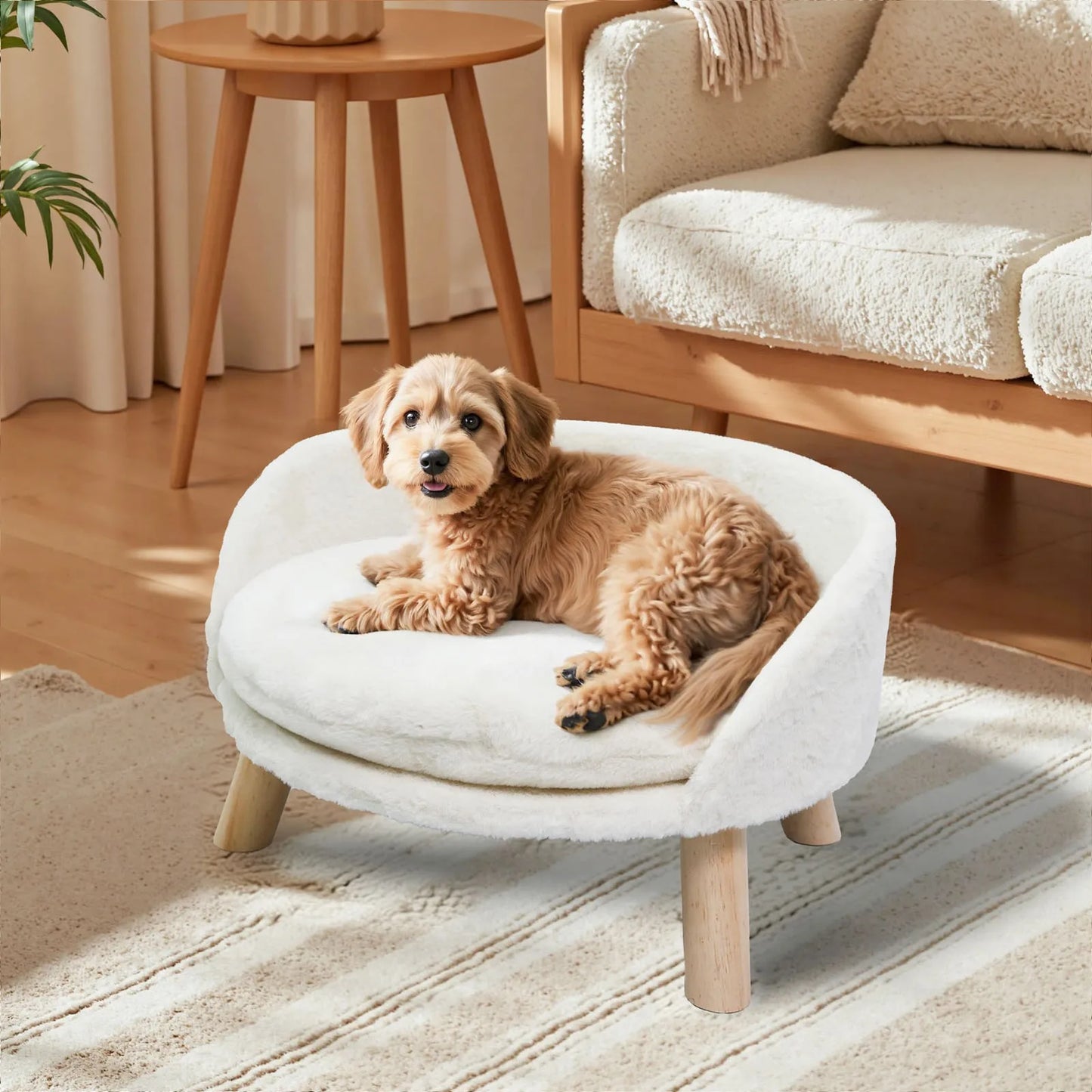 Borwart Elevated Dog Cat Sofa Bed With Removable Padded Cushion