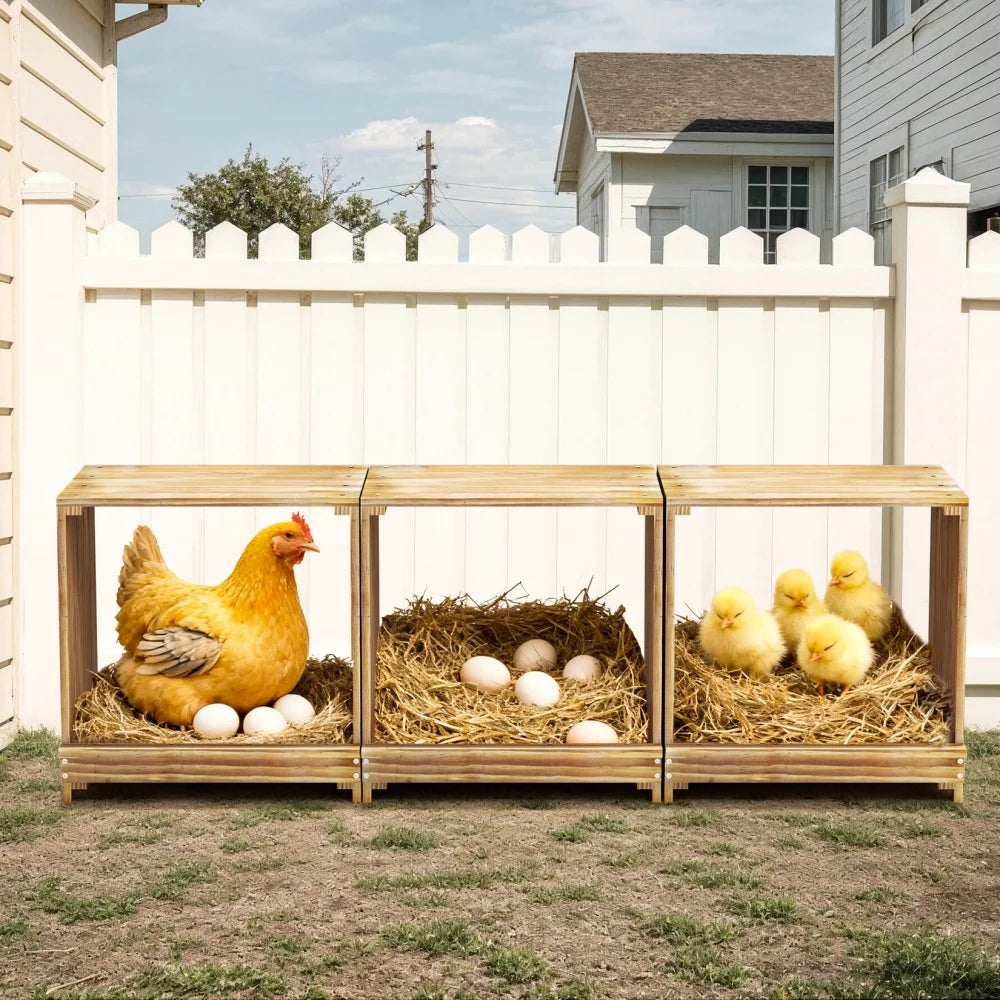 Pine Wood Chicken Nesting Box Three Compartments For Easy Egg Collection