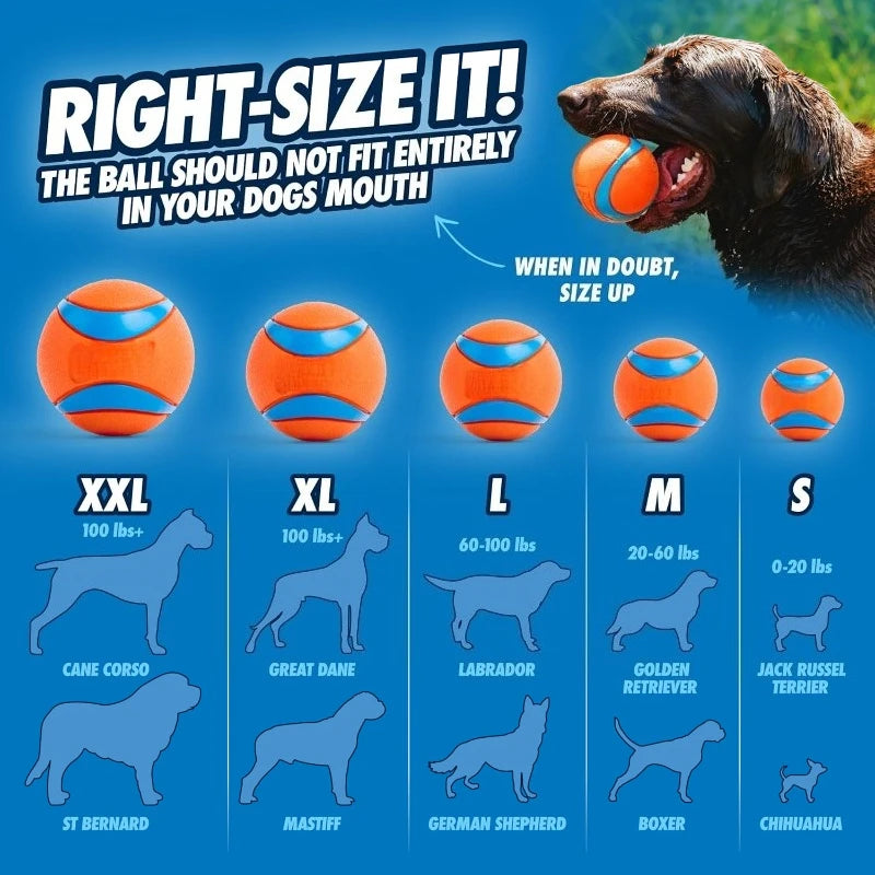 Ultra Ball Rubber Dog Toy Durable Bouncy Water Floater