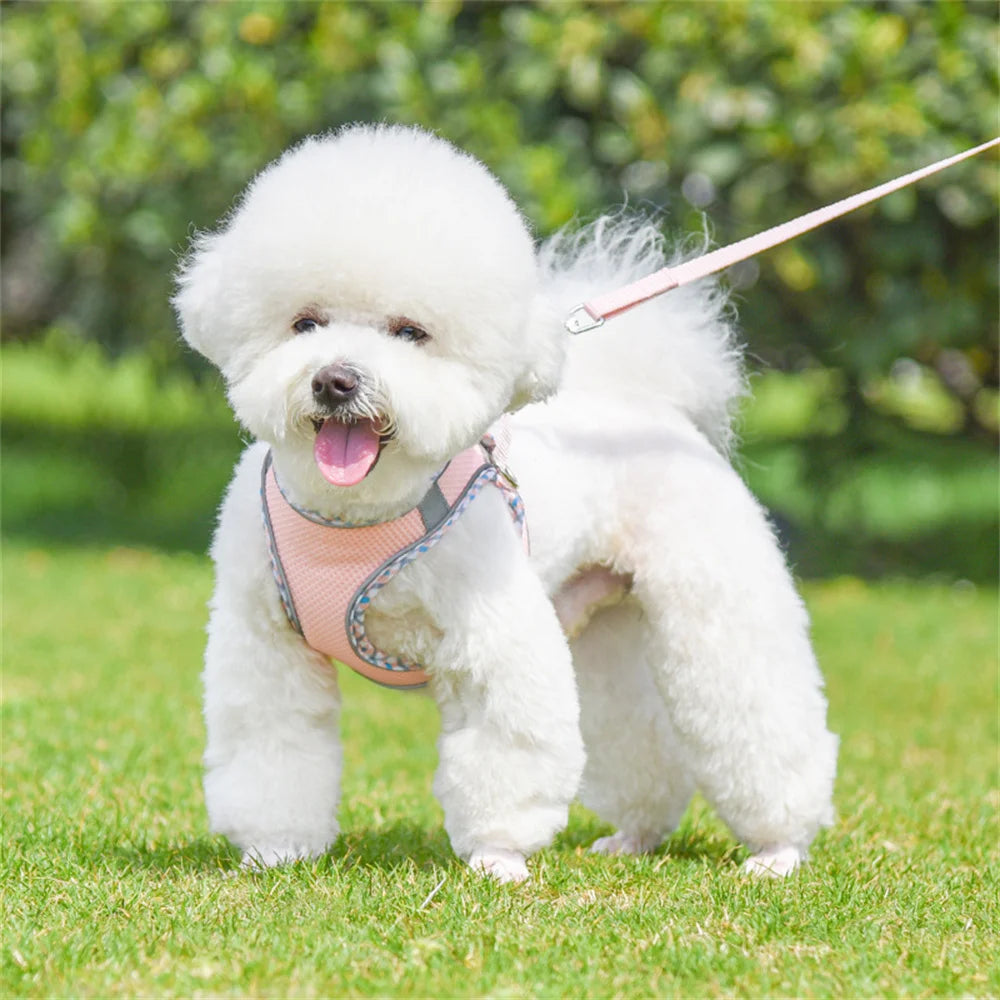 XLeiPet Mesh Breathable Vest Harness for Small Dogs and Cats