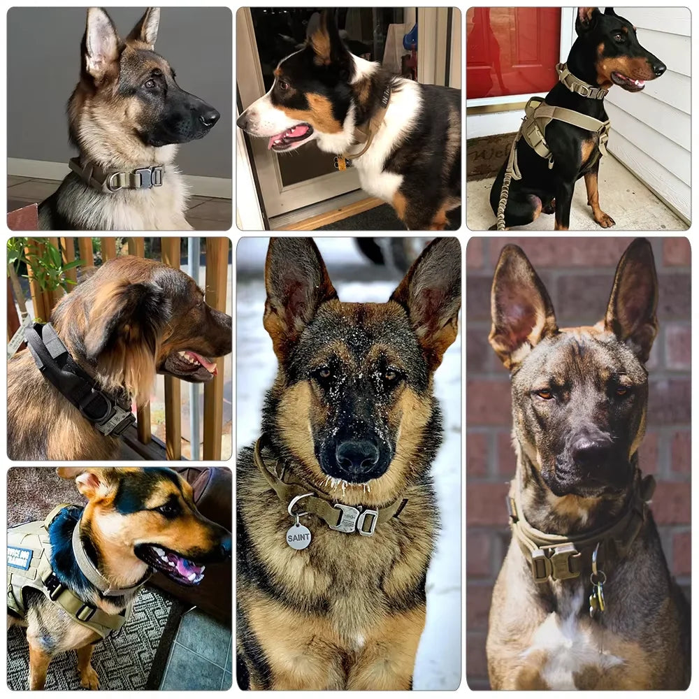 Adjustable Tactical Dog Training Collar And Leash Set Quick Release