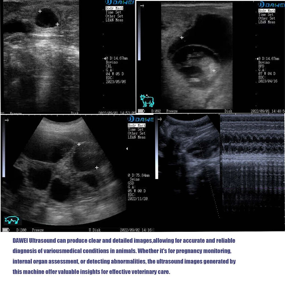 DAWEI Portable Veterinary Ultrasound Scanner B Ultra Pregnancy Machine
