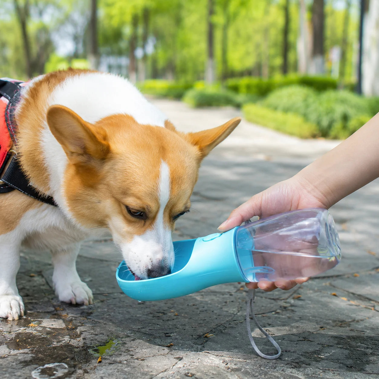 Portable Pet Water Bottle With Food Container Travel Dispenser