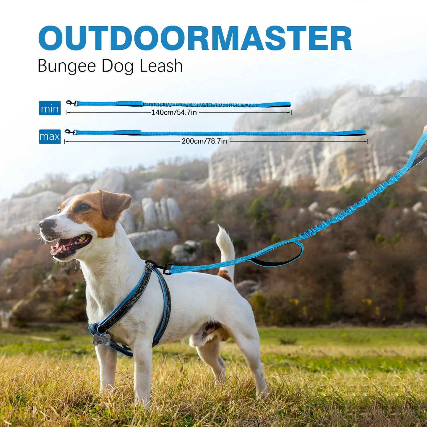 Bungee Dog Leash With Shock Absorption And Dual Padded Handles