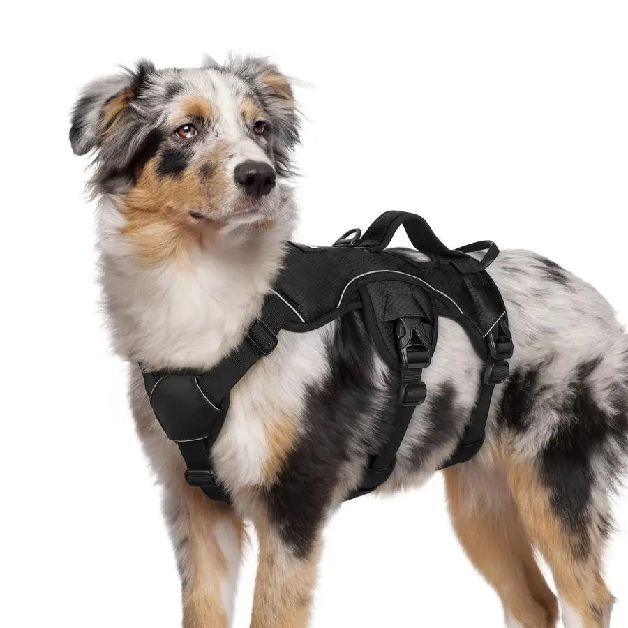 Escape Proof No Pull Dog Harness With Reflective Vest