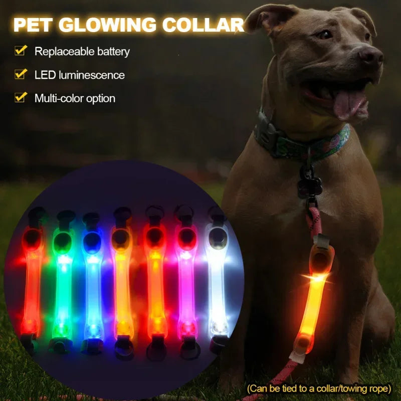 Waterproof Dog Anti Lost Safety Glowing Collar With LED Light