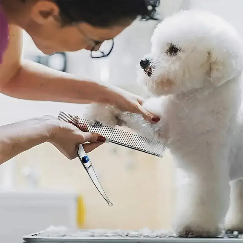 Ambidextrous Stainless Steel Dog Grooming Scissors For Safe Trimming