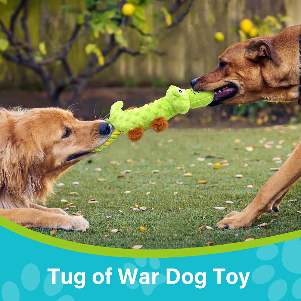 Dog Squeaky Plush Toy Pack For Interactive Tug Of War
