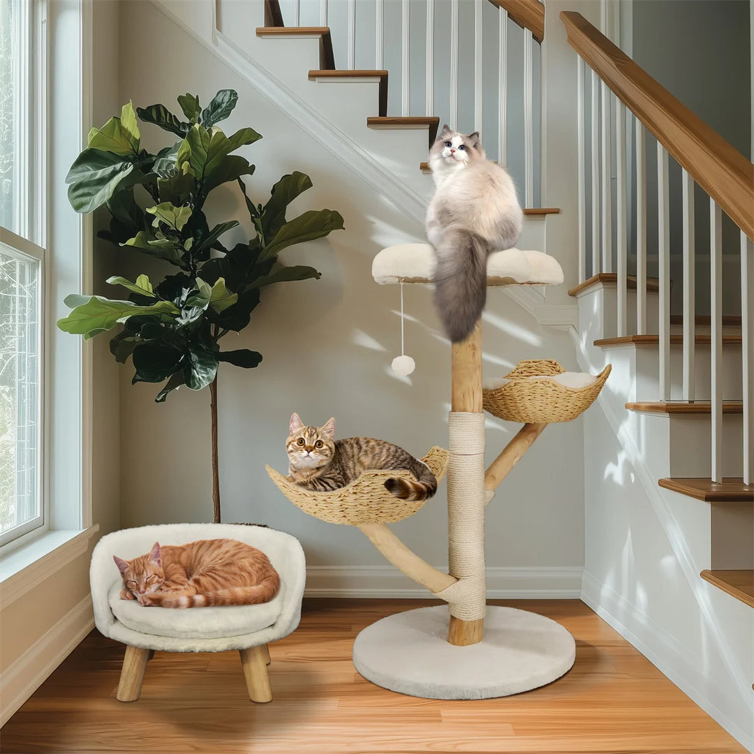 BINGOPAW Solid Wood Cat Climbing Tree With Sisal Rope