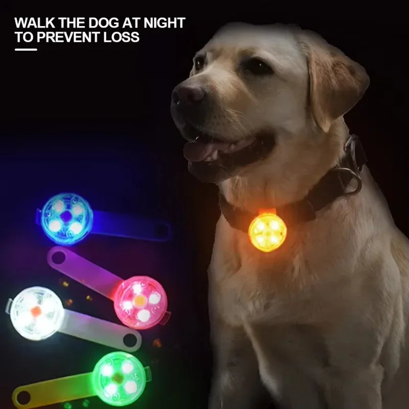 LED Safety Light Dog Cat Collar USB Rechargeable Weatherproof