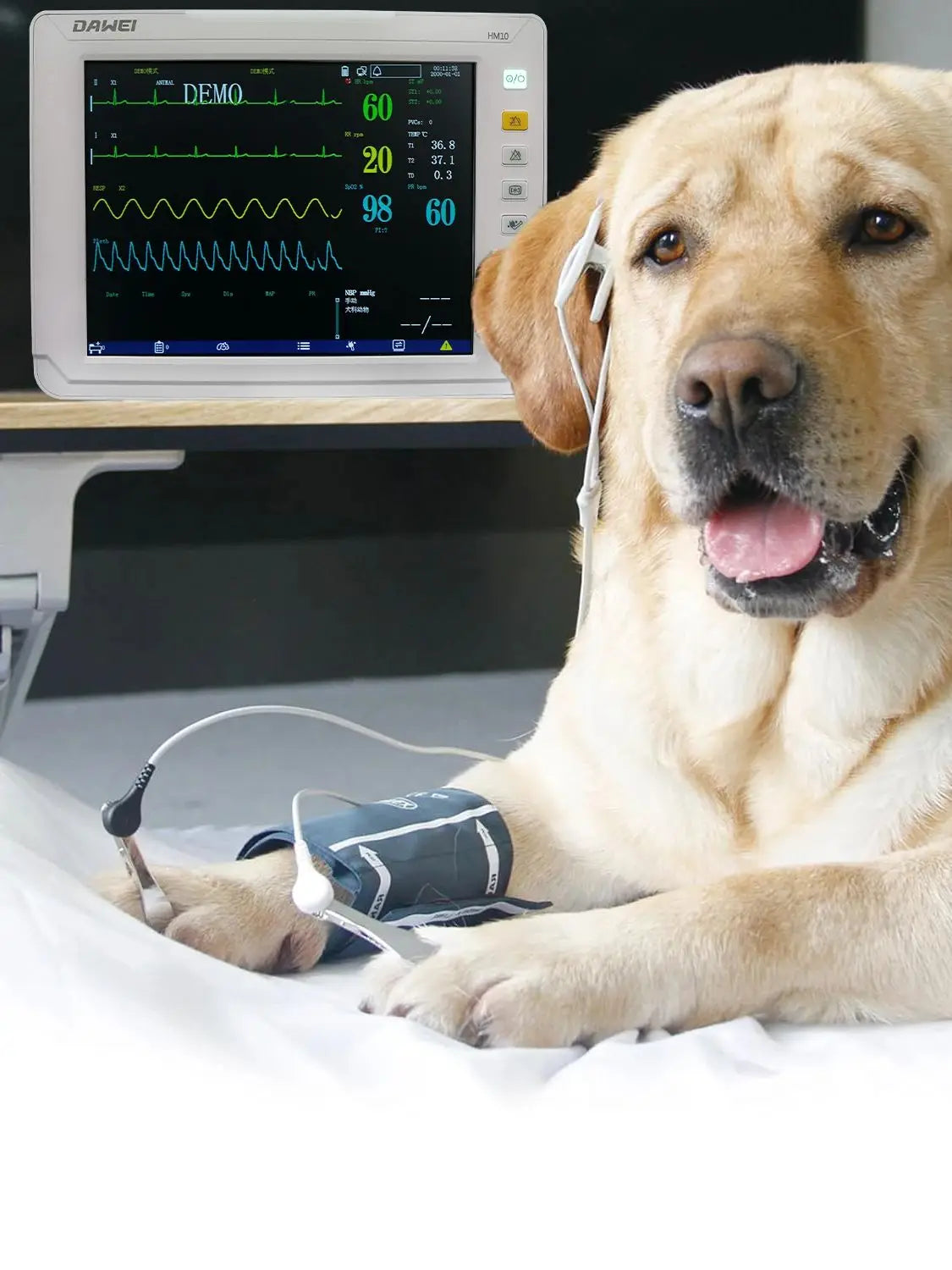 Dawei Six Parameter Portable Veterinary Patient Monitor