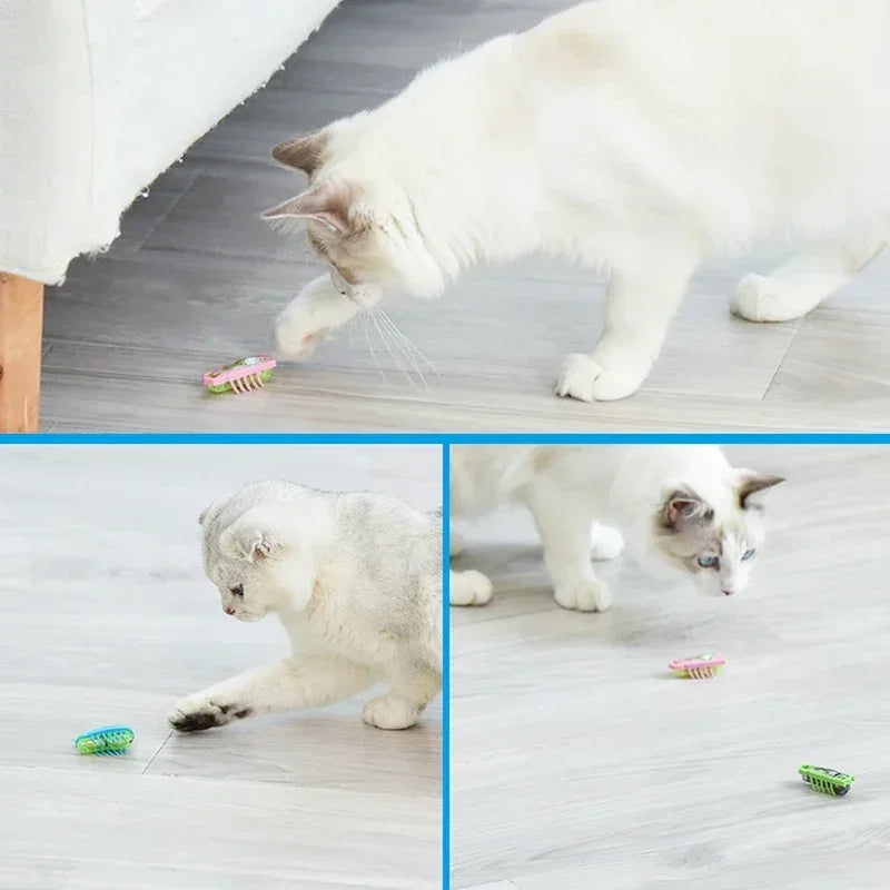 Mini Electric Ladybug Cat Toy Interactive Beetle Pet Plaything