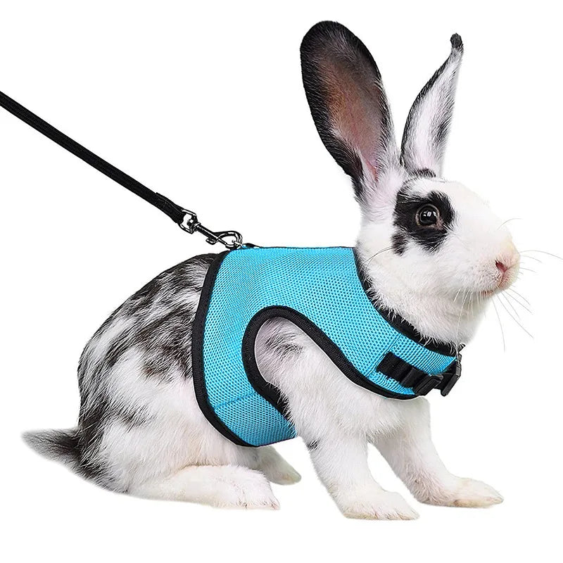 Summer Pet Harness Leash For Small Animals Breathable Mesh