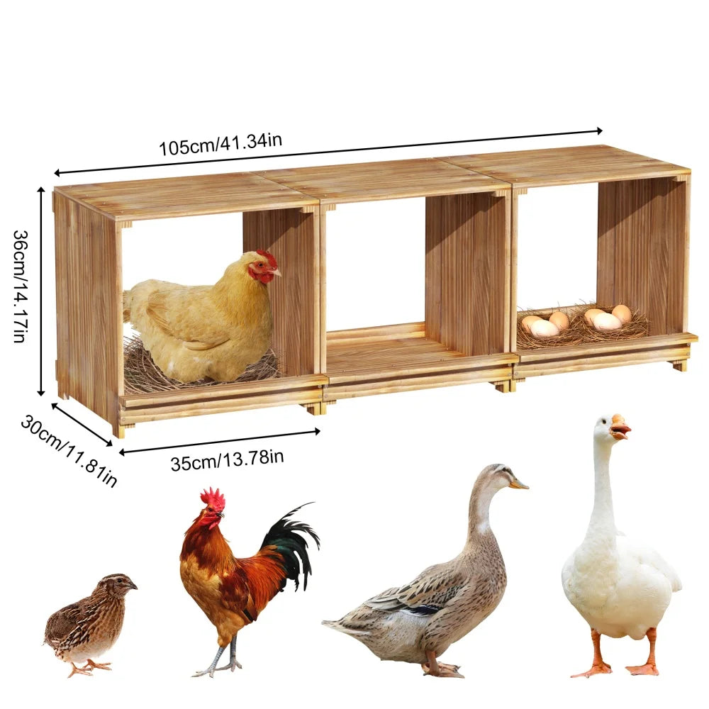 Pine Wood Chicken Nesting Box Three Compartments For Easy Egg Collection