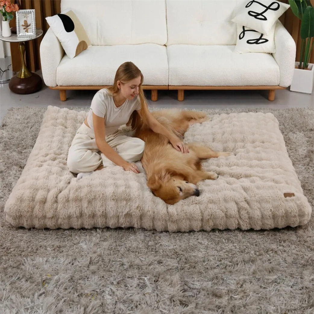 Borwart Ultra Plush Dog Bed Washable Pet Cushion Removable Cover