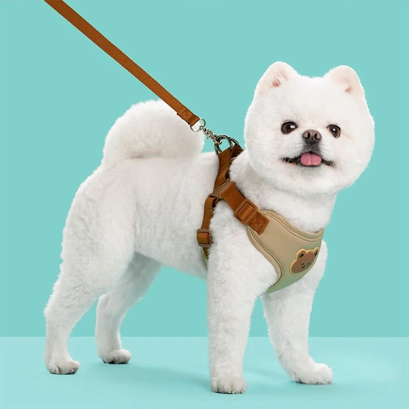 Caiban Breathable Dog Harness And Leash Set For All Breeds