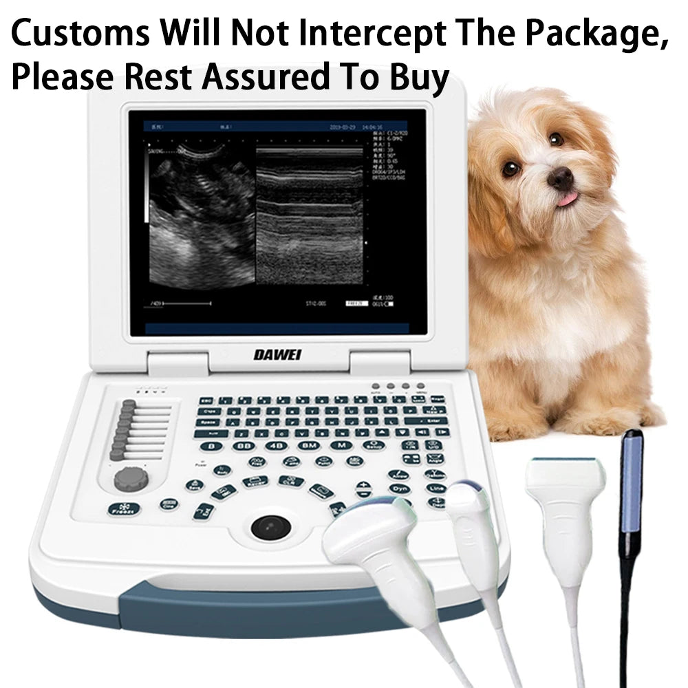 DAWEI Portable Veterinary Ultrasound Scanner For Farm And Pets